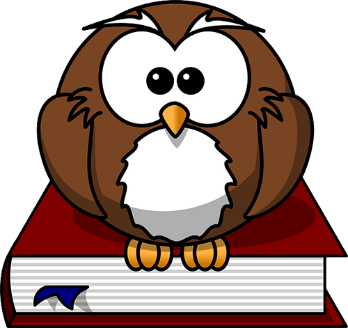 owl for schedule